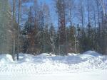 Pictures from Sioux Lookout