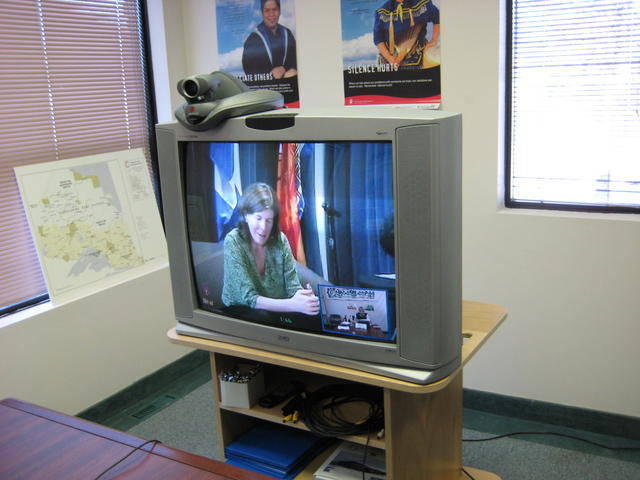 NRC's Susan O'Donnell facilitates the video conference